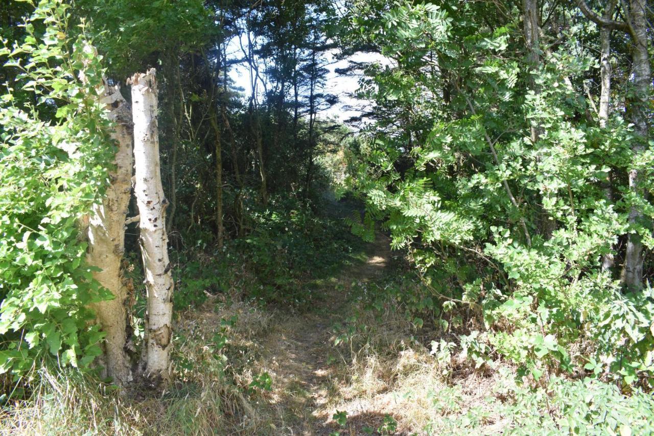 فيلا Fjordsyn Farsø المظهر الخارجي الصورة